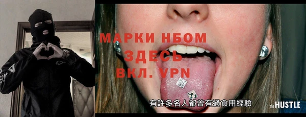 стаф Алзамай