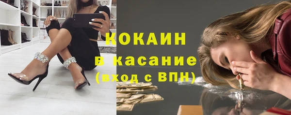 стаф Алзамай
