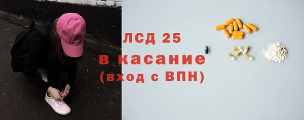 стаф Алзамай