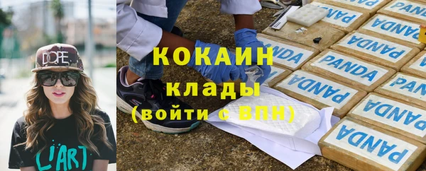стаф Алзамай