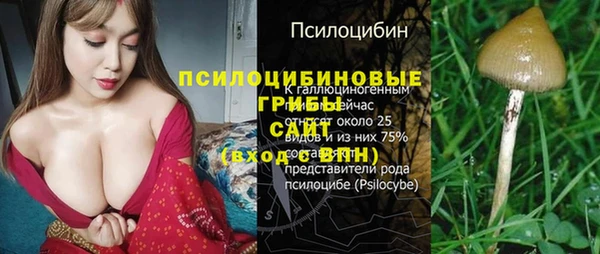 стаф Алзамай