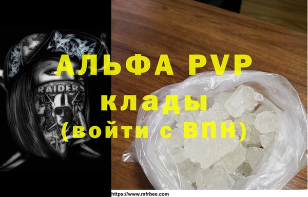 стаф Алзамай