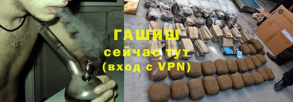 стаф Алзамай